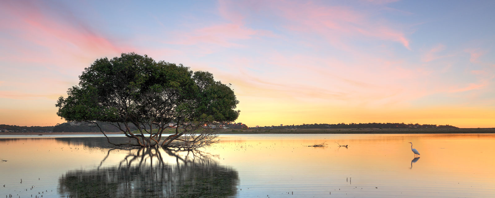 Sun Realty Port St. Lucie Realtors